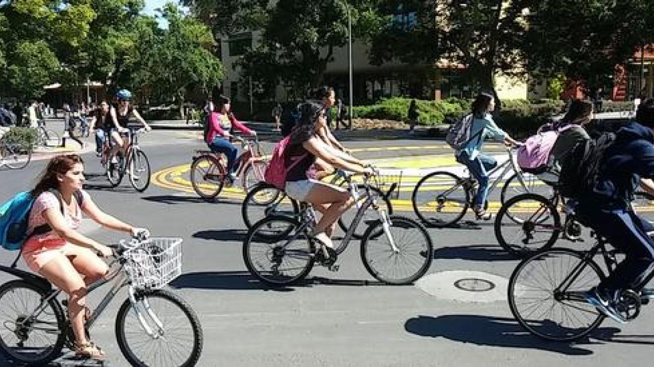 Davis-bike